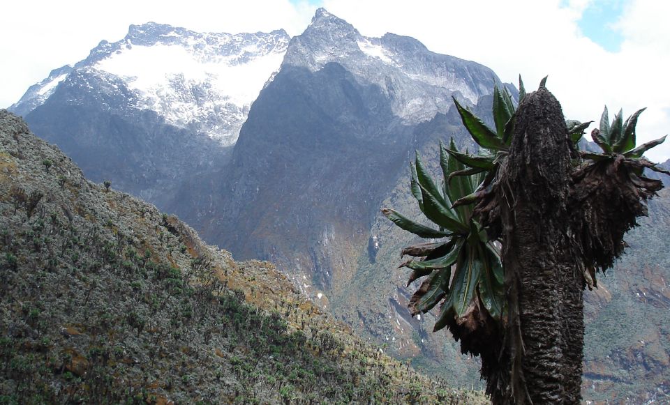 Mount Gessi ( 4,715m ) in Rwenzori Range